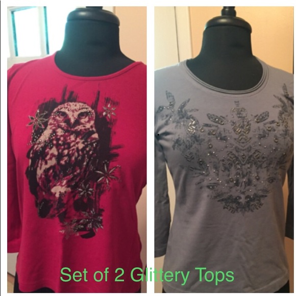 2 (!!!!) Distinctive Embellished Tops - Picture 1 of 7